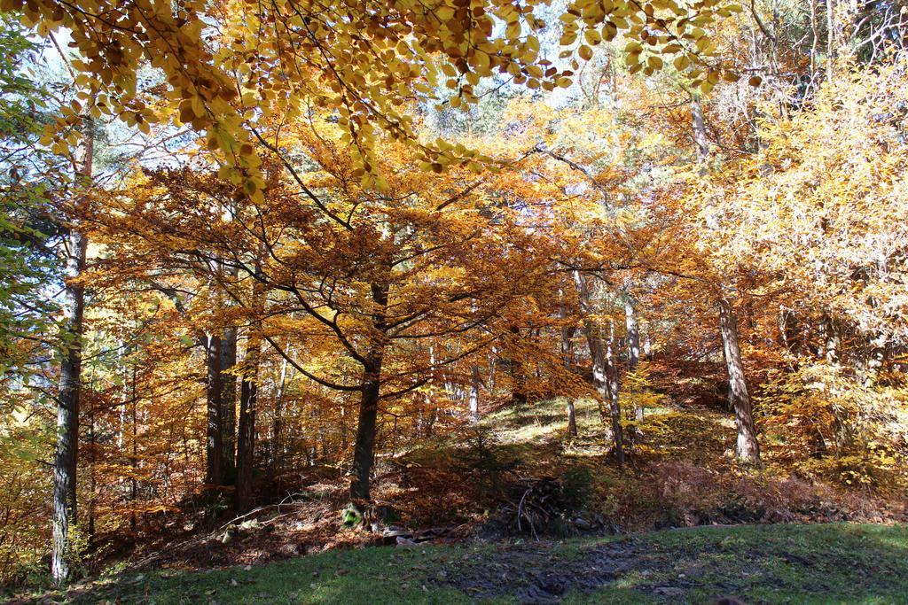 Tinnerhof أبيانو سولاّ ستراذا المظهر الخارجي الصورة
