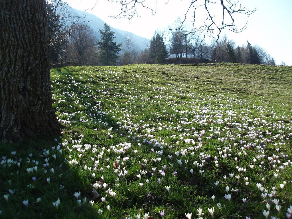 Tinnerhof أبيانو سولاّ ستراذا المظهر الخارجي الصورة