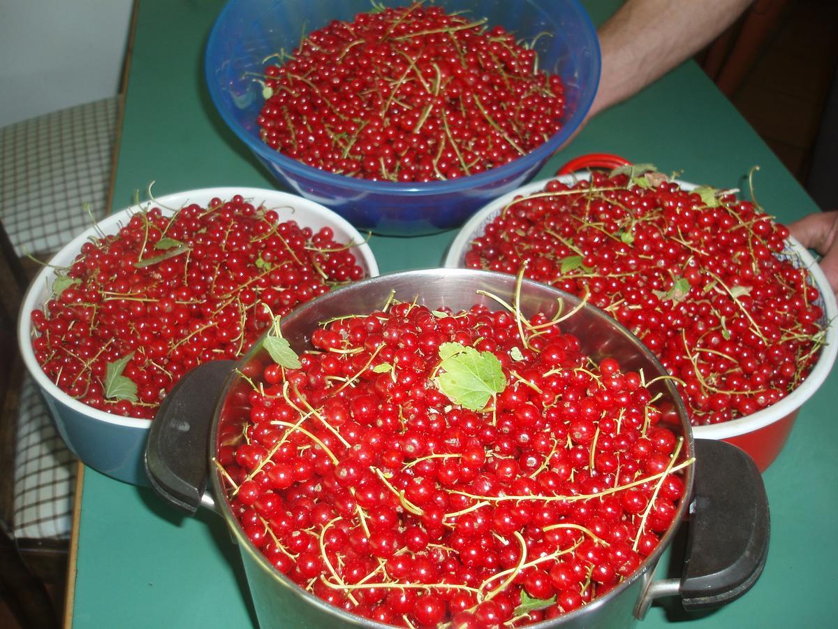 Tinnerhof أبيانو سولاّ ستراذا المظهر الخارجي الصورة